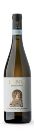 Silente-delle-marne-tenuta-santa-caterina